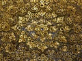 Golden decor Royalty Free Stock Photo