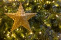 Golden decoration light in shape of star on christmas pine tree Royalty Free Stock Photo