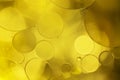 Golden decorative bubbles and circles of oil on the surface of the water Royalty Free Stock Photo