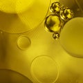 Golden decorative bubbles and circles of oil on the surface of the water Royalty Free Stock Photo