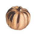 Golden decorative pumpkin. Autumn harvest. Halloween home decor. Watercolor illustration Royalty Free Stock Photo