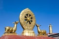 Golden Deer And Dharma Wheel in Tibet Royalty Free Stock Photo