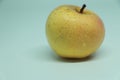 golden delicious apples isolated,Isolated wet apples. Royalty Free Stock Photo