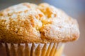 Golden delicious muffin Royalty Free Stock Photo