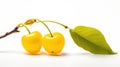 Golden Delight: Yellow Cherry On White