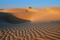 Golden Desert Royalty Free Stock Photo