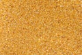 Golden desert sand