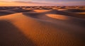 Golden desert sand dunes illuminated by warm sunset light casting deep shadows Royalty Free Stock Photo