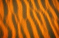 Golden desert sand during sunset as background Royalty Free Stock Photo