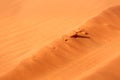 Golden desert sand sunset background Royalty Free Stock Photo