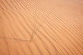Golden  desert sand texture as background. Royalty Free Stock Photo
