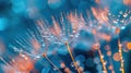 Golden Dew Drops on Dandelion Seed Macro against Dreamy Blue Background - Soft and Tender Artistic Image