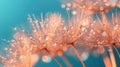 Golden Dew Drops on Dandelion Seed Macro against Dreamy Blue Background - Soft and Tender Artistic Image