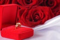 Golden diamond ring in box and red rose Royalty Free Stock Photo