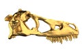 Golden Dino Skull