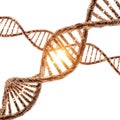 Golden DNA Strands Illuminated on a Clean White Background Royalty Free Stock Photo