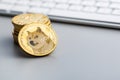 Golden dogecoin coin. Cryptocurrency dogecoin.