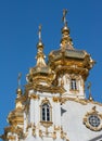 Golden dome church Royalty Free Stock Photo