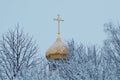 Golden dome of the church on the background of winter trees and overcast sky Royalty Free Stock Photo
