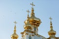 The golden dome of the church. The Great Peterhof Palace in Russia. Detail of decoration. A flock of birds in the sky Royalty Free Stock Photo