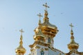 The golden dome of the church. The Great Peterhof Palace in Russia. Detail of decoration. A flock of birds in the sky