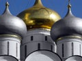 Golden dome (horizontal) Royalty Free Stock Photo