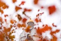 Golden dome of orthodox church surrounded by small orange leaves Royalty Free Stock Photo