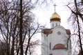 Golden dome of an orthodox temple against a cloudy sky Royalty Free Stock Photo