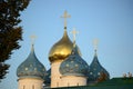 Golden domes of an ancient orthodox church. Sergiev Posad. Russia. Royalty Free Stock Photo