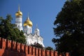 The golden domes of a church in the kremlin