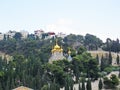 Golden domes of the Church of Mary Magdalene.