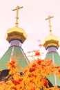 Golden domes with crosses of an Orthodox wooden church. Royalty Free Stock Photo