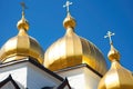 golden domes of an orthodox cathedral