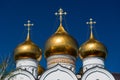 Golden domes of the russian orthodox church Royalty Free Stock Photo