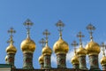 Golden domes of the Terem Palace, Kremlin, Moscow, Russia Royalty Free Stock Photo