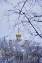 The Golden domes of the white Church against the overcast sky are photographed through the branches of trees Royalty Free Stock Photo