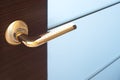 Golden door handle