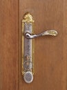 Golden Door Handle