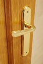 Golden door knob detail on an oak wooden door. Royalty Free Stock Photo