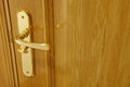 Golden door knob detail on an oak wooden door Royalty Free Stock Photo