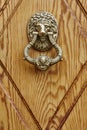 Golden door knob on a wooden door. Lion head Royalty Free Stock Photo