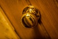 Golden door knob Royalty Free Stock Photo