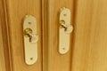 Golden door knobs detail on an oak wooden door Royalty Free Stock Photo