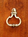 Golden door knocker