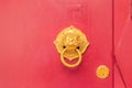 Golden door knocker in the shape of lion with ring on a red wood Royalty Free Stock Photo