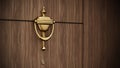 Golden door knocker on wooden door. 3D illustration