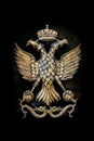 Golden Double Headed Eagle on Black Metal Background, Roman and