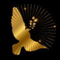 Golden dove of peace logo design. Pigeon, branch and starburst on black background Royalty Free Stock Photo