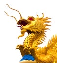 Golden dragon