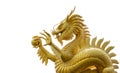 Golden chinese dragon